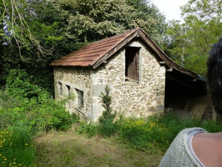 Le poulallier ... uniquement pour poules de luxe !